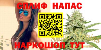 ешки Можга