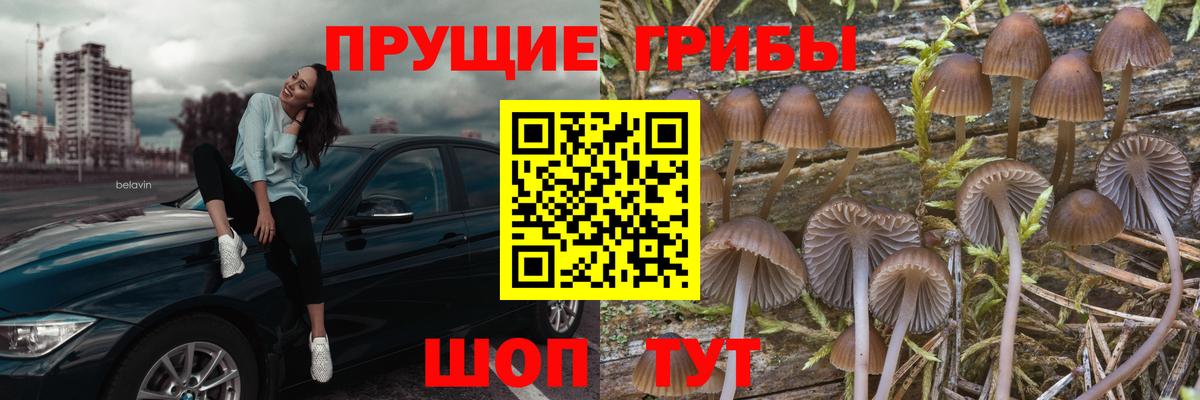 Псилоцибиновые грибы ЛСД Юрга